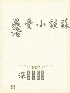 愚爱小说苏倩孙浩