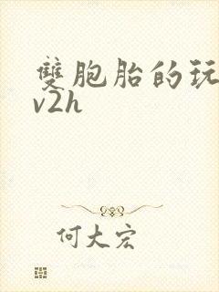 双胞胎的玩具1v2h