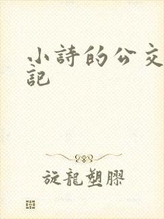 小诗的公交车日记