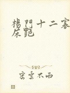 杨门十二寡妇肉床艳