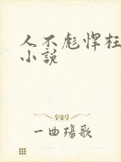 人不彪悍枉少年小说