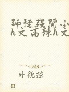 师徒强开小嫩苞h文高辣h文