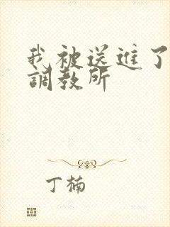 我被送进了私奴调教所