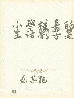 小学校长的幸福生活刘芳是谁封面