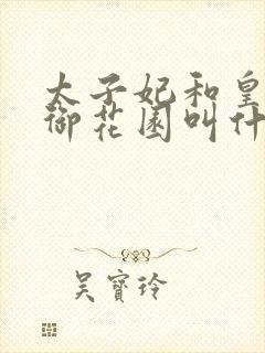 太子妃和皇帝在御花园叫什么小说