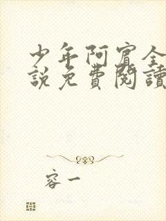 少年阿宾全文小说免费阅读笔趣阁