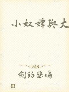 小奴婢与大少爷