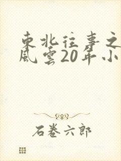 东北往事之黑道风云20年小说