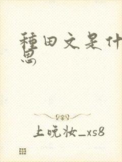种田文是什么意思