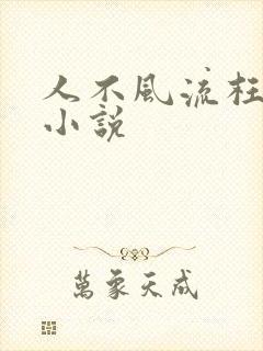 《人不风流枉少年小说》小说封面