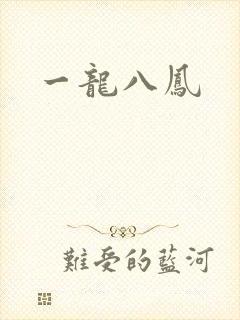 一龙八凤封面