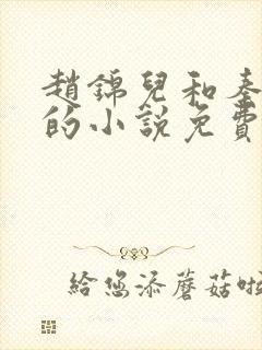 赵锦儿和秦慕修的小说免费阅读全文