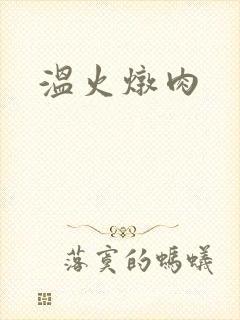 温火炖肉