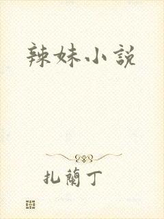 辣妹小说