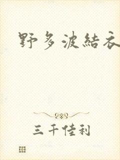 野多波结衣封面