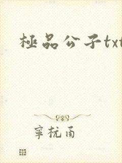 极品公子txt