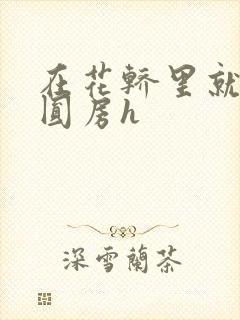 在花轿里就开始圆房h