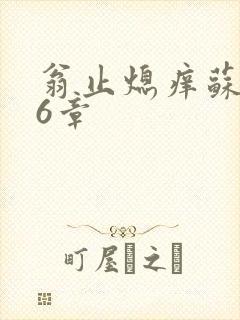 翁止熄痒苏玥第6章