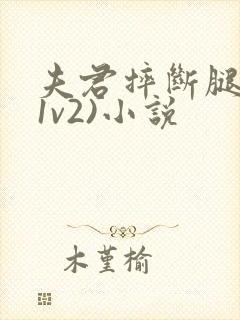 夫君摔断腿后(1v2)小说