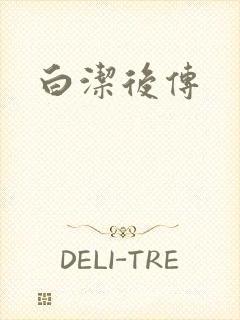 白洁后传