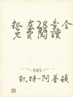 抓灰28章全部免费阅读