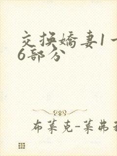 交换娇妻1一36部分