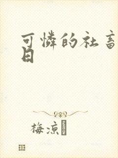 可怜的社畜东度日