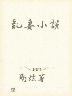 乱妻小说