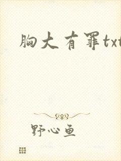 胸大有罪txt