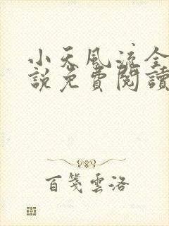 小天风流全集小说免费阅读