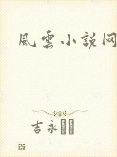 风云小说网封面