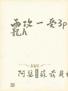 两攻一受3p双龙h