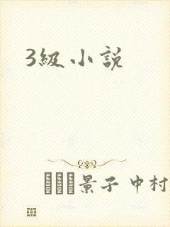 3级小说