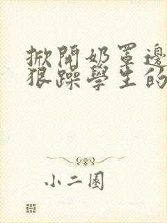 《掀开奶罩边躁狠狠躁学生的小文字》小说封面