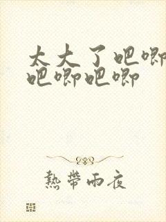 《太大了吧唧吧唧吧唧吧唧》小说封面