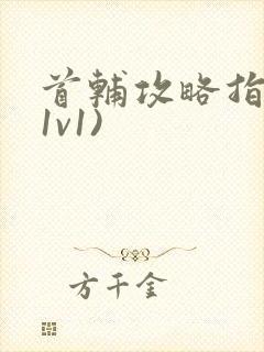 首辅攻略指南(1v1)