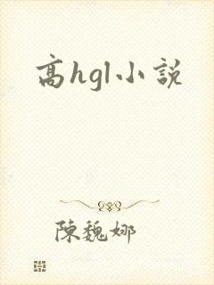 高hgl小说