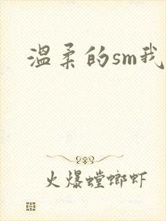温柔的sm我
