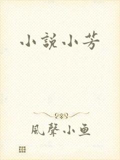 小说小芳