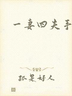 一妻四夫手记