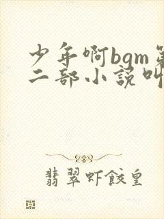 少年啊bgm第二部小说叫什么