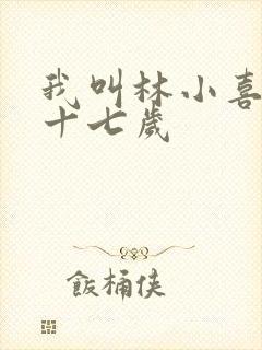 我叫林小喜今年十七岁
