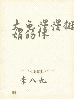 大龟慢慢挺进张娟的休封面