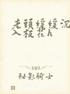 老头缓缓沉腰进入校花h