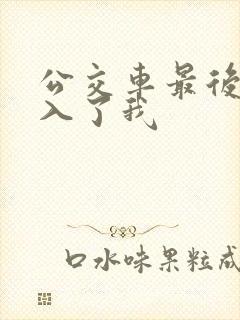 公交车最后一排入了我