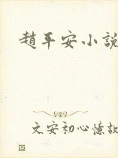 赵平安小说主角