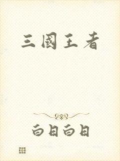 三国王者