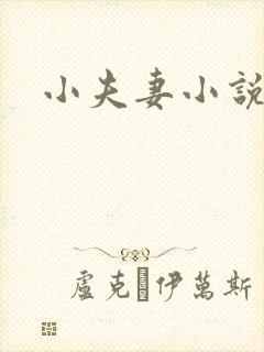 小夫妻小说