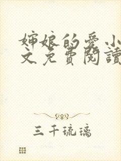 婶娘的爱小说全文免费阅读