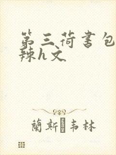 第三荷书包网高辣h文
